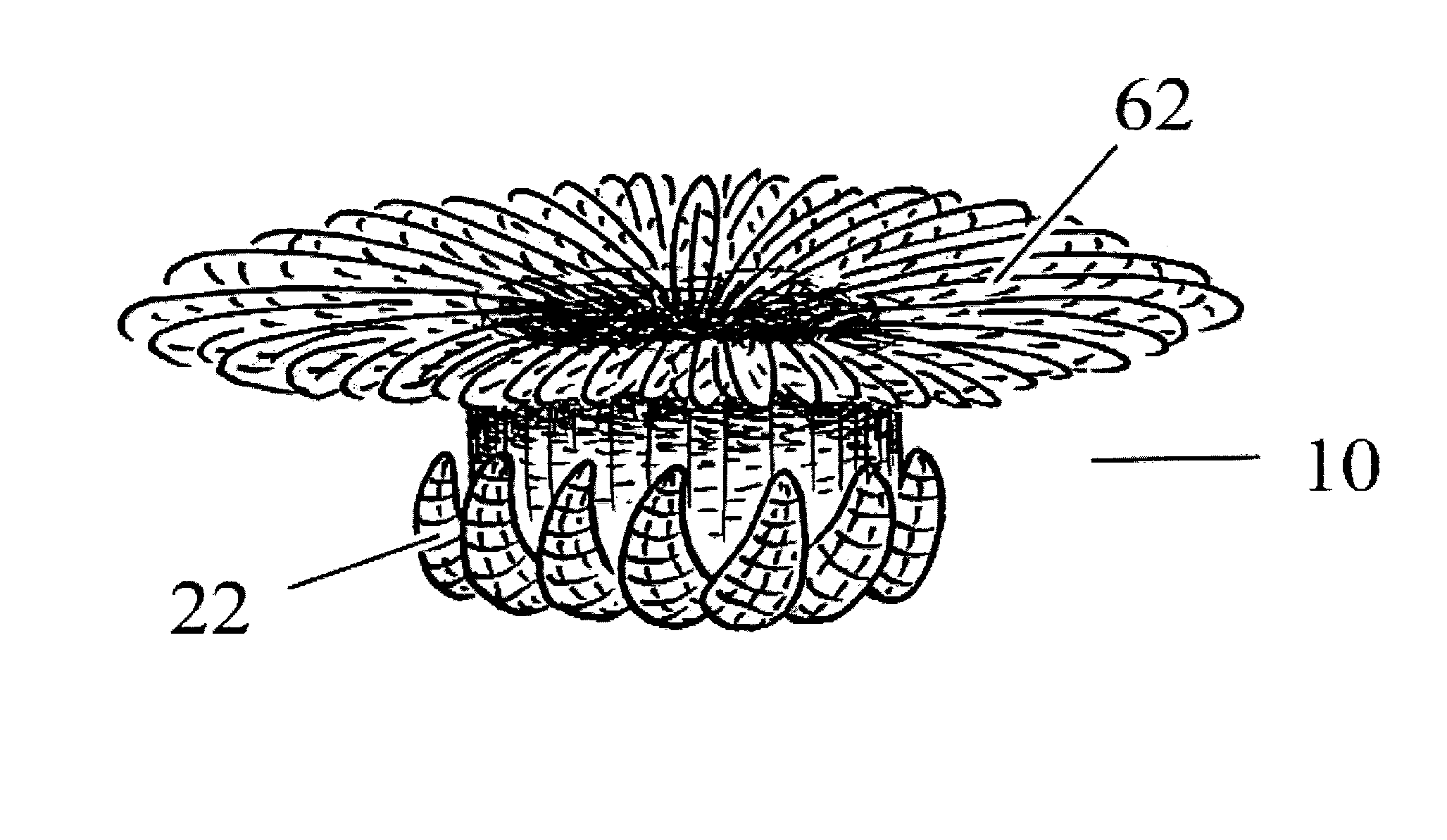 Disk-based valve apparatus and method for the treatment of valve dysfunction