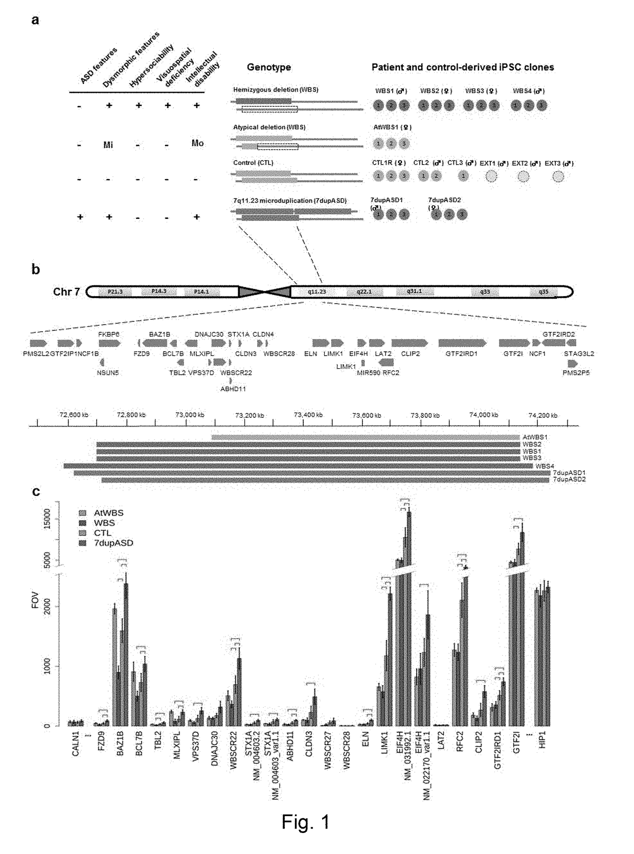 Reprogramming-based models of neurodevelopmental disorders and uses thereof