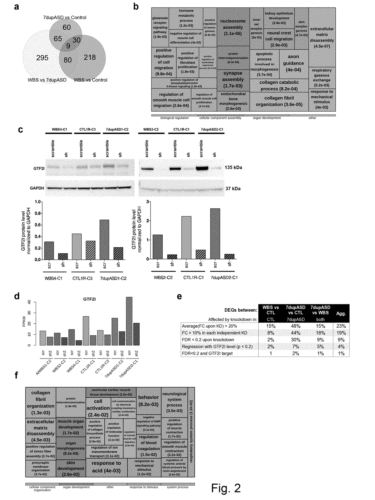 Reprogramming-based models of neurodevelopmental disorders and uses thereof