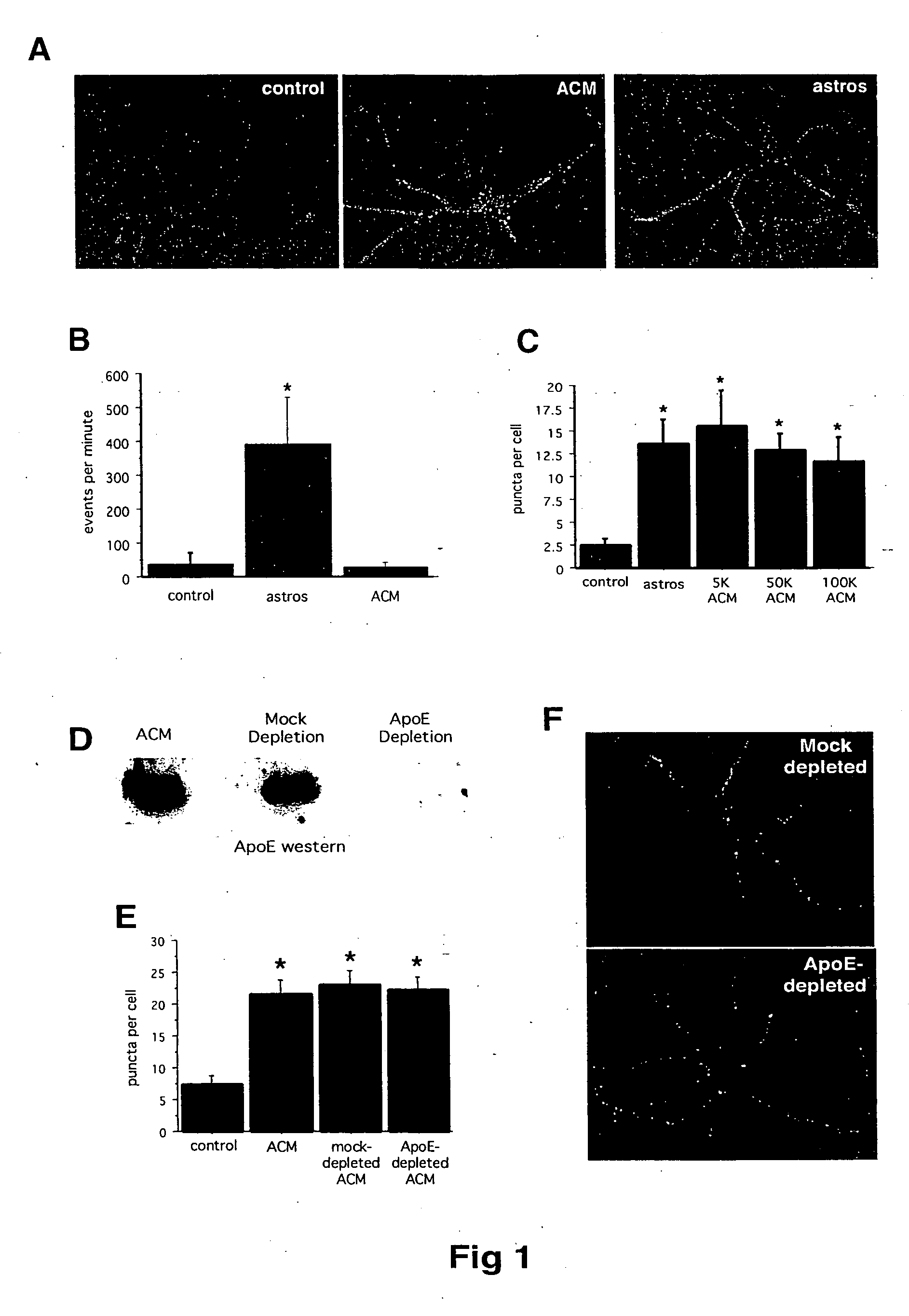 Modulation of synaptogenesis