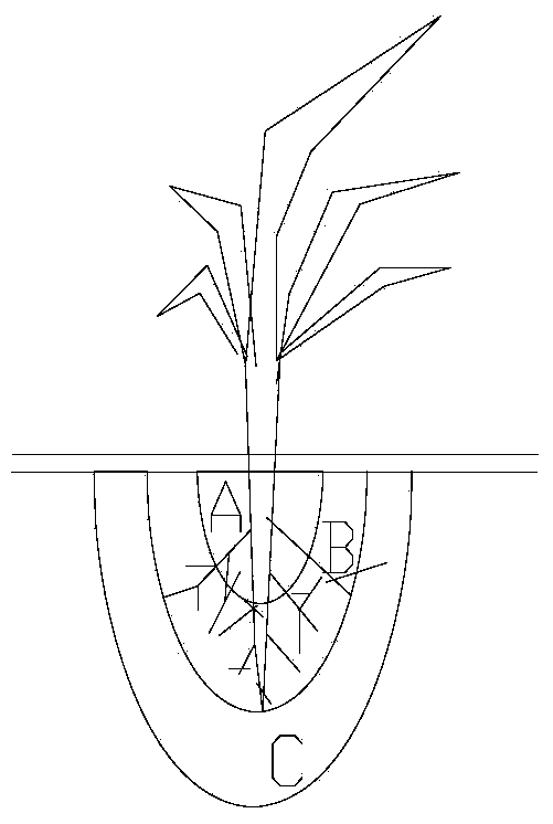 Novel intermittent drop irrigation method