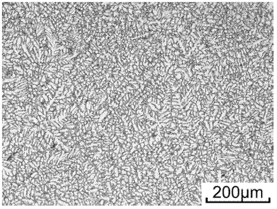 Device for manufacturing metal paste in double forcing and homogenizing mode and machining forming method thereof