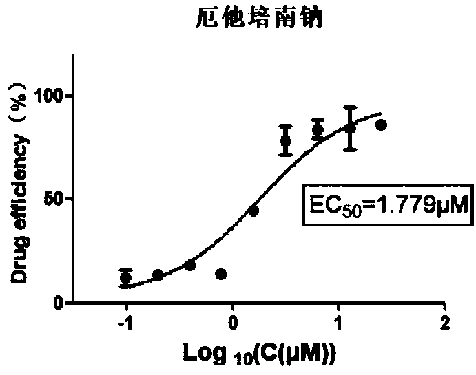 Application of ertapenem disodium to preparation of medicine for preventing and treating bovine contagious rhinotracheitis