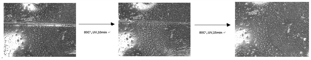 Bio-based polyurethane with photothermal dual repair function and preparation method thereof