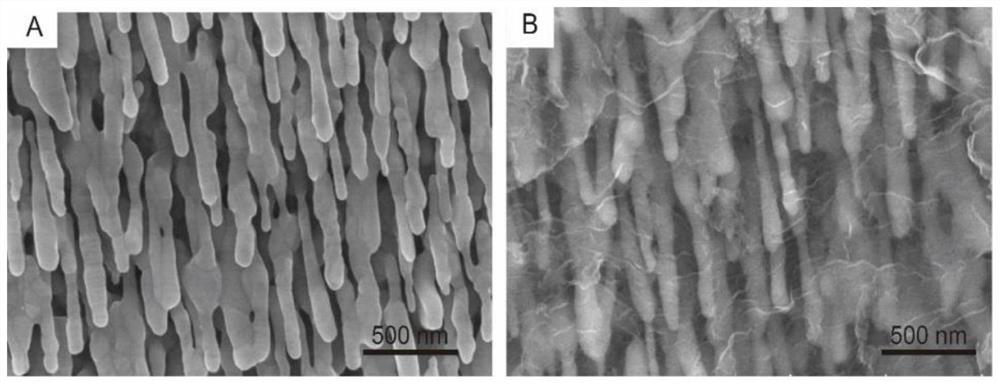 agnr/o-g-c  <sub>3</sub> no  <sub>4</sub> Substrate, its preparation method and its application in the sensitive detection of recyclable SERS