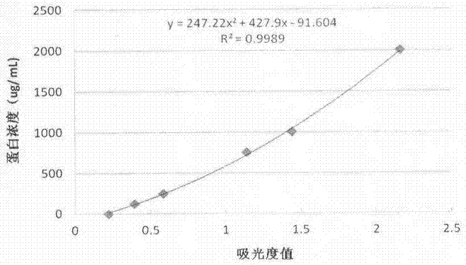 Bone marrow protein and polypeptide ultrafiltration membrane preparation method and application thereof