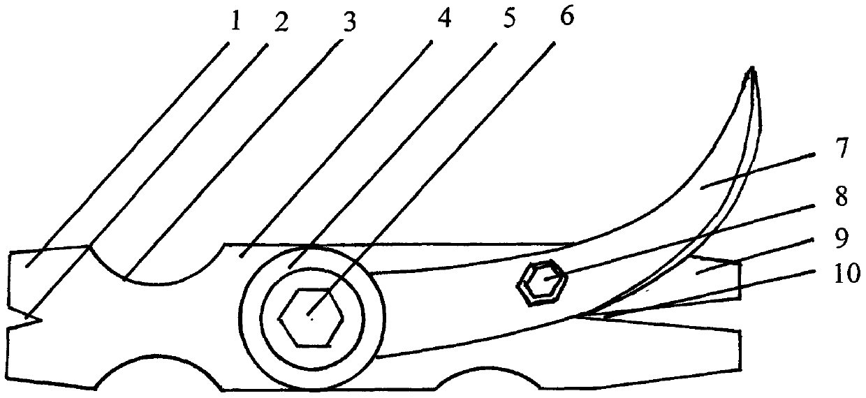 Fruit picker provided with small curved cutter