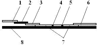 Quantum-dot marking test strip capable of quantitatively determining multiple indexes of blood infectious diseases and preparation method and quantitative determination method thereof