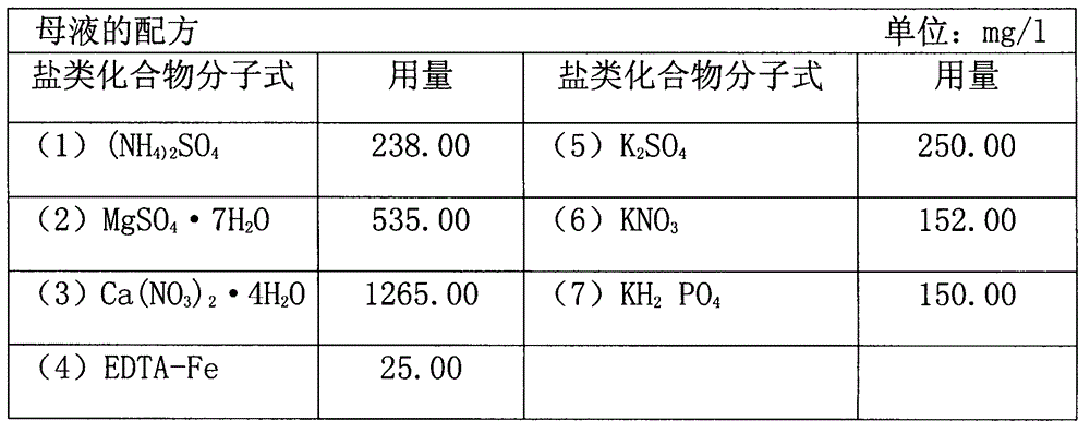 Nutrient solution for water culture of green vegetables