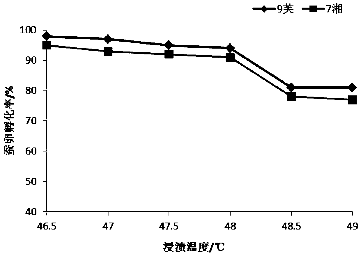 A control method for the vertical transmission of microparticle disease embryos in double-crossed silkworm stock