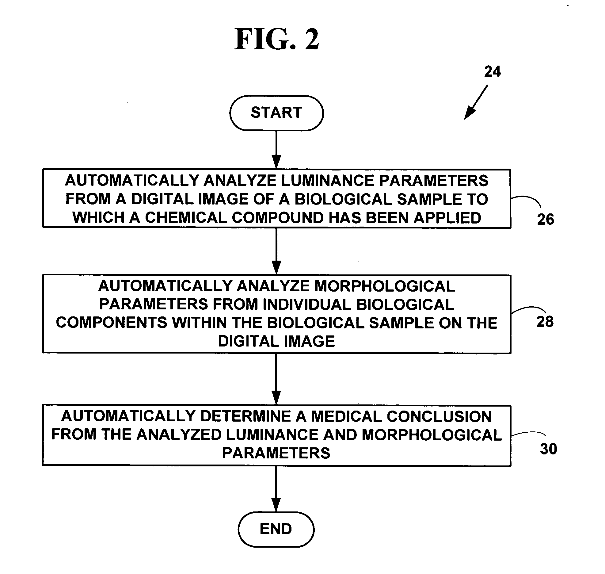 Method and system for automated digital image analysis of prostrate neoplasms using morphologic patterns