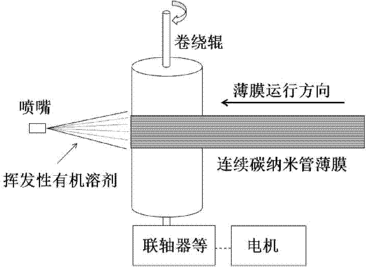 Preparation method of highly-oriented carbon nanotube paper