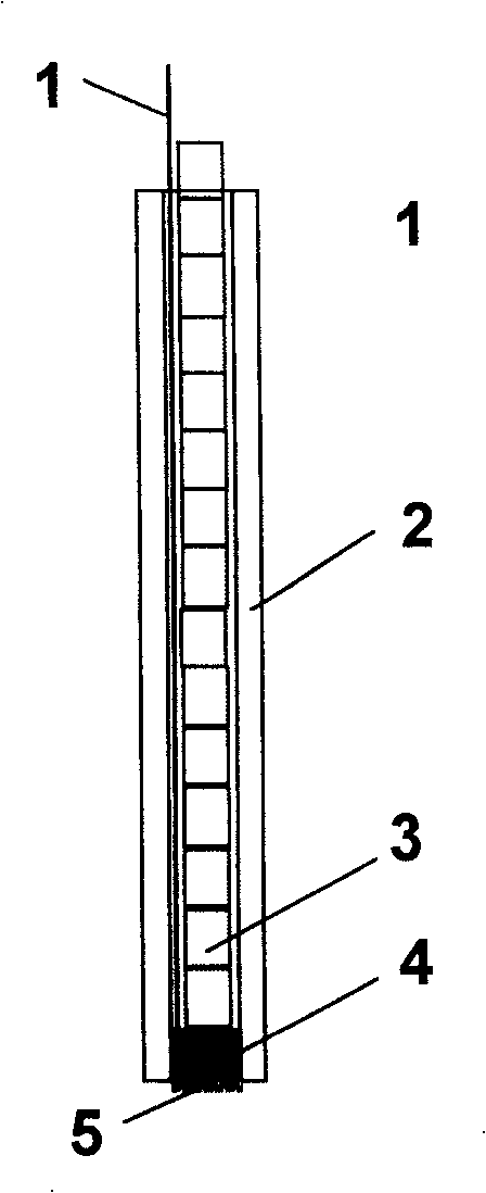 Glucolase electrode based on magnetic carbon nano-tube and preparation method thereof