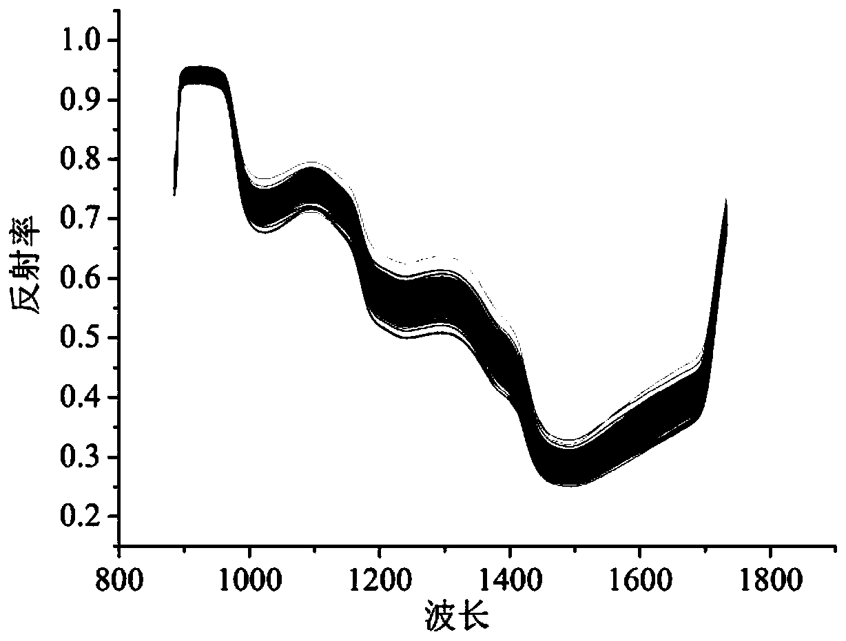 Prediction method of hardness of mango after impact damage based on hyperspectral