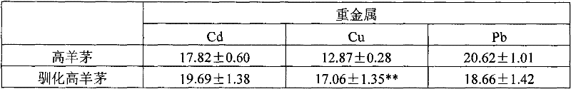 Method for improving heavy metal tolerance of tall fescue by domesticated plant seeds