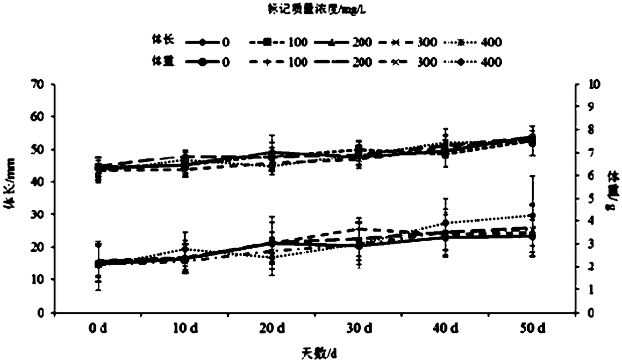 Marking method suitable for acanthopagrus schlegelii juveniles