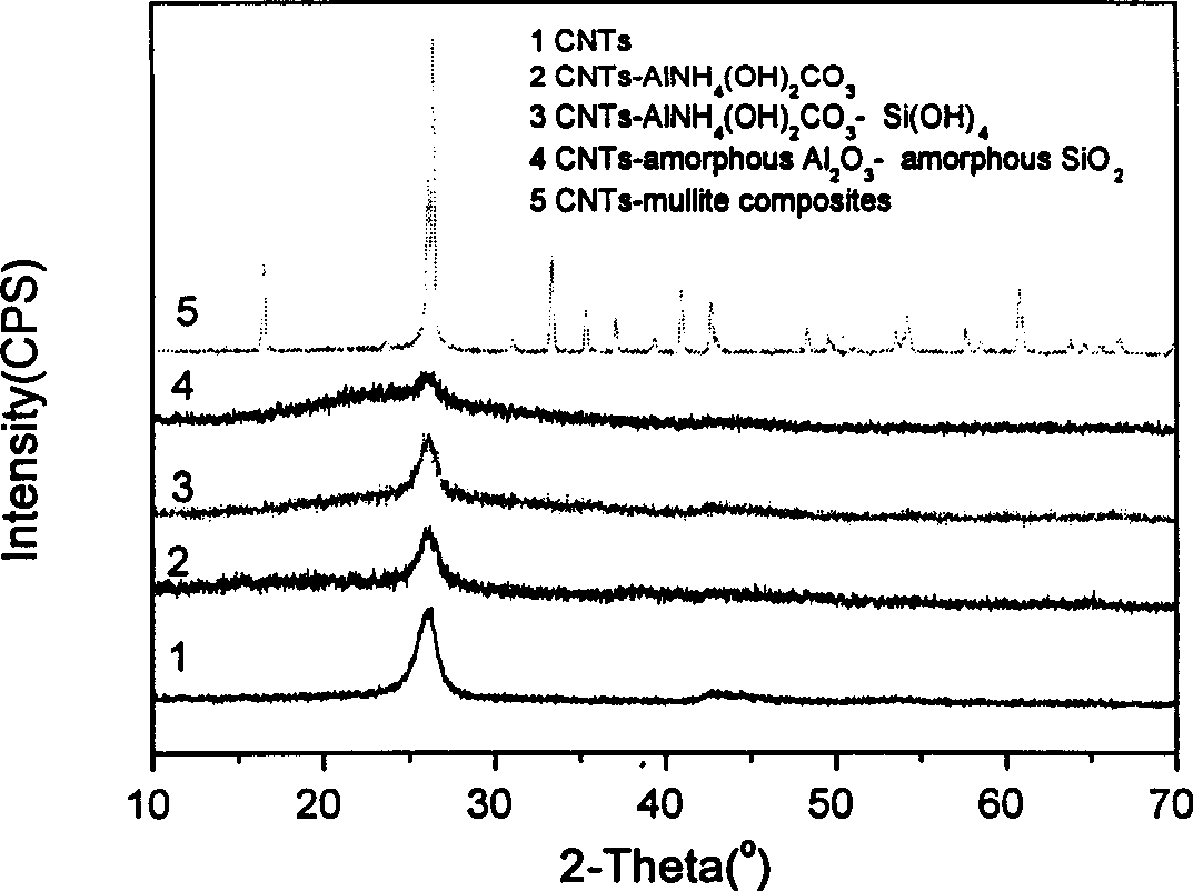 Preparation method of composite powder of mullite precursor in situ enveloped carbon nanometer tube