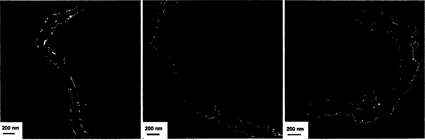 Preparation method of composite powder of mullite precursor in situ enveloped carbon nanometer tube