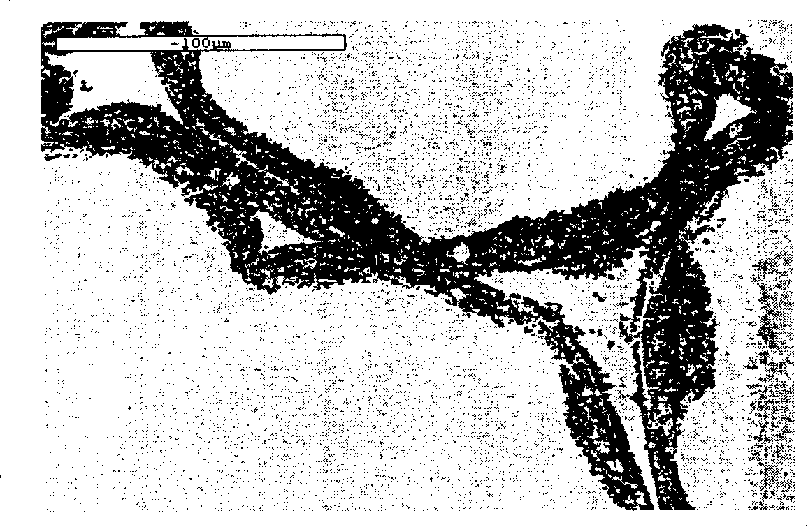 Wet type copper base friction material and its preparation method