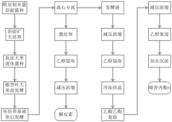 Method for simultaneously preparing ginkgolide B and quercetin from stereum hirsutum