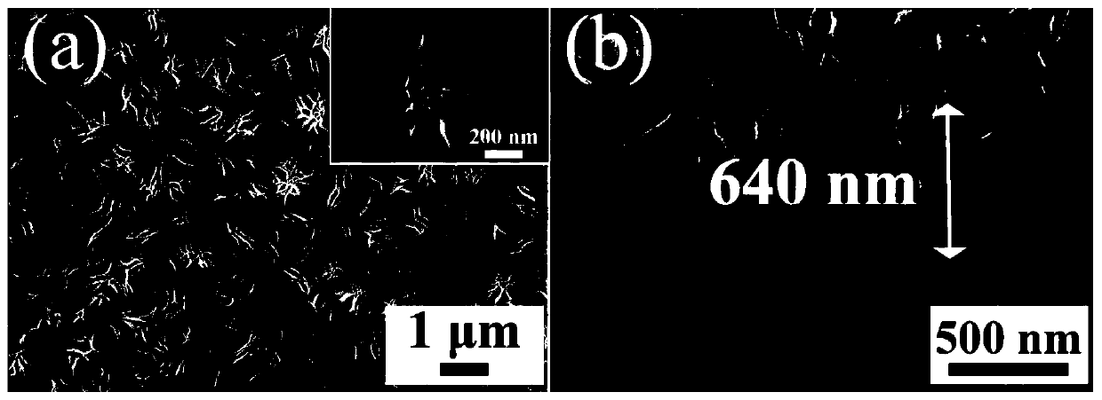 Method for preparing titanium dioxide nanoflower electrode