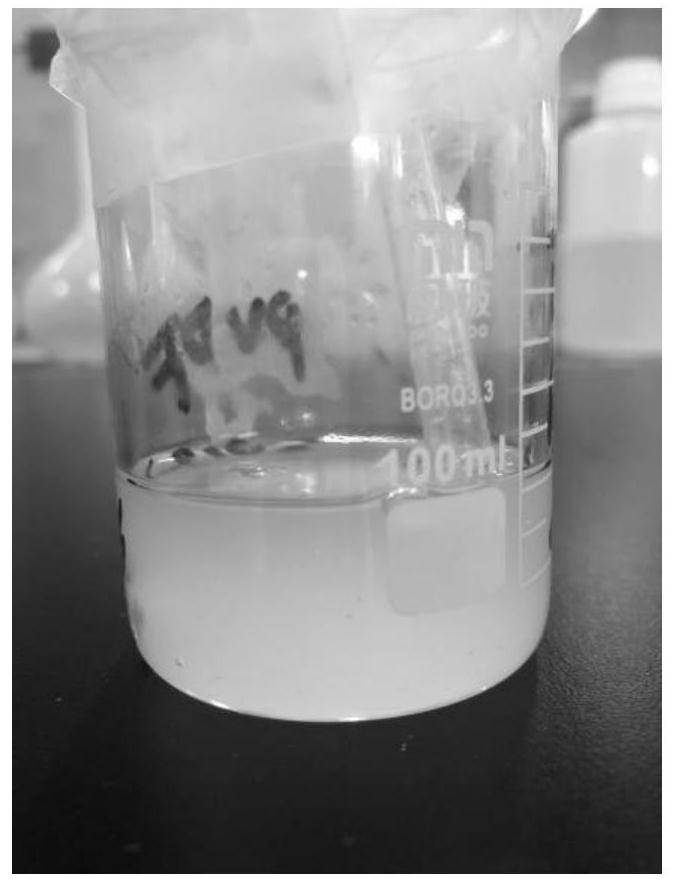 Treatment method of lithium ion battery material powder sample section