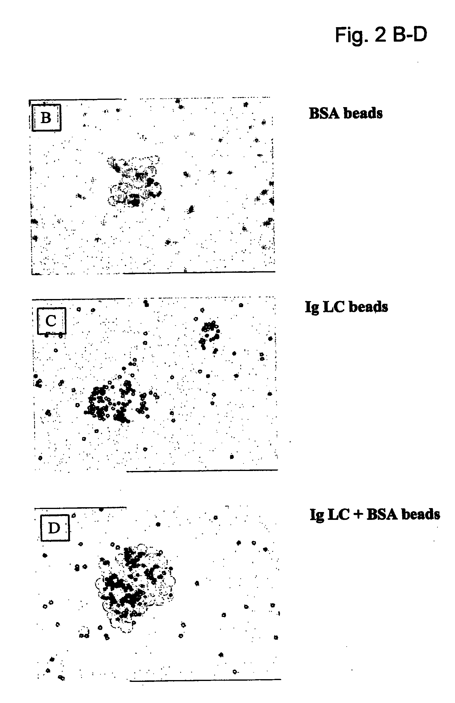 Means and methods for manipulating hypersensitivity-like responses