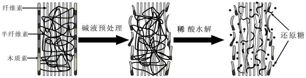 Method for preparing bio-oil reactant and bio-oil from lignocellulosic biomass