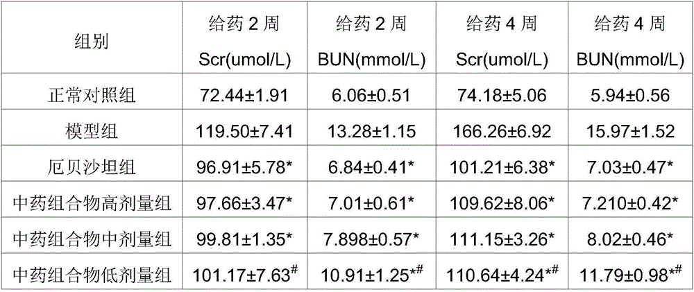 A kind of traditional Chinese medicine composition for treating diabetic nephropathy, traditional Chinese medicine preparation and preparation method thereof