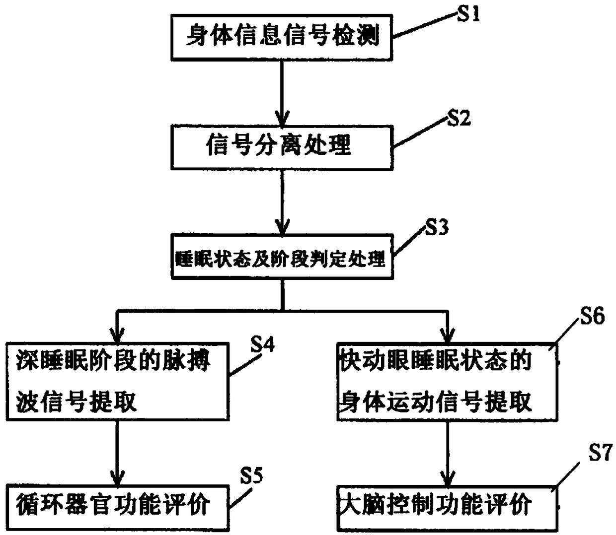 Body function examination device and body function examination method and system