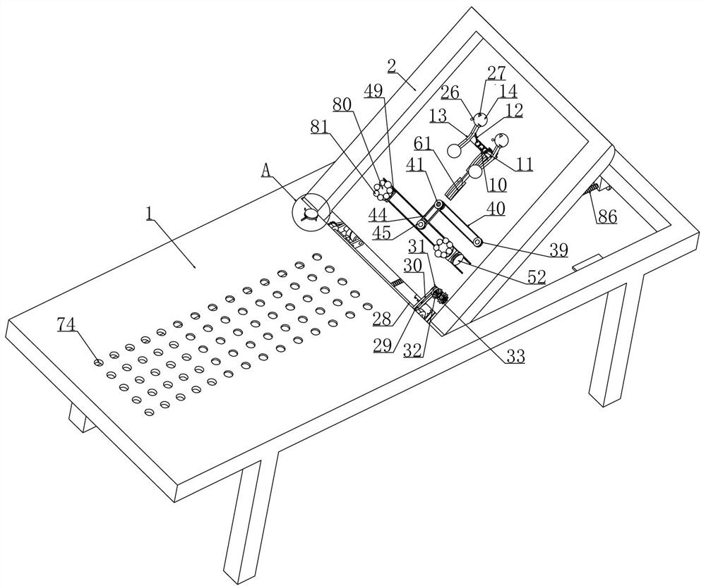 Gynecological traditional Chinese medicine physical therapy device