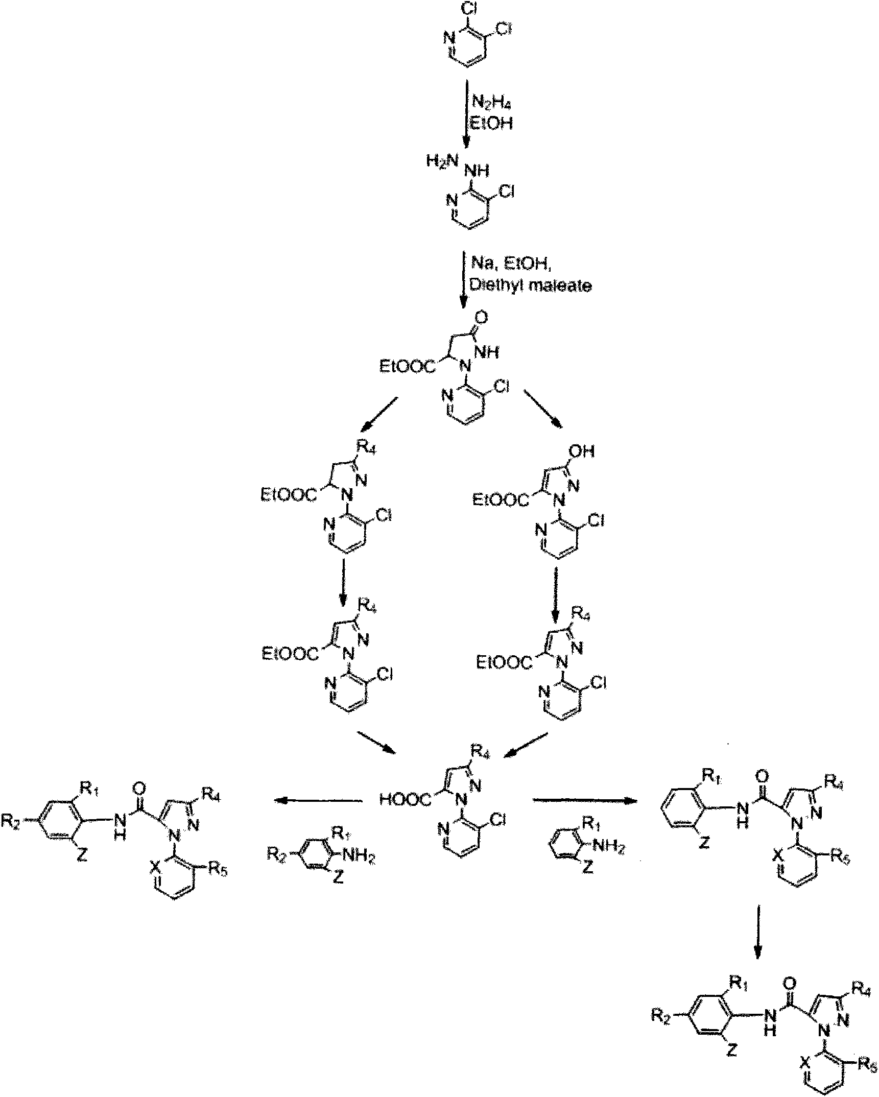 Pyrazole amide derivative and application thereof