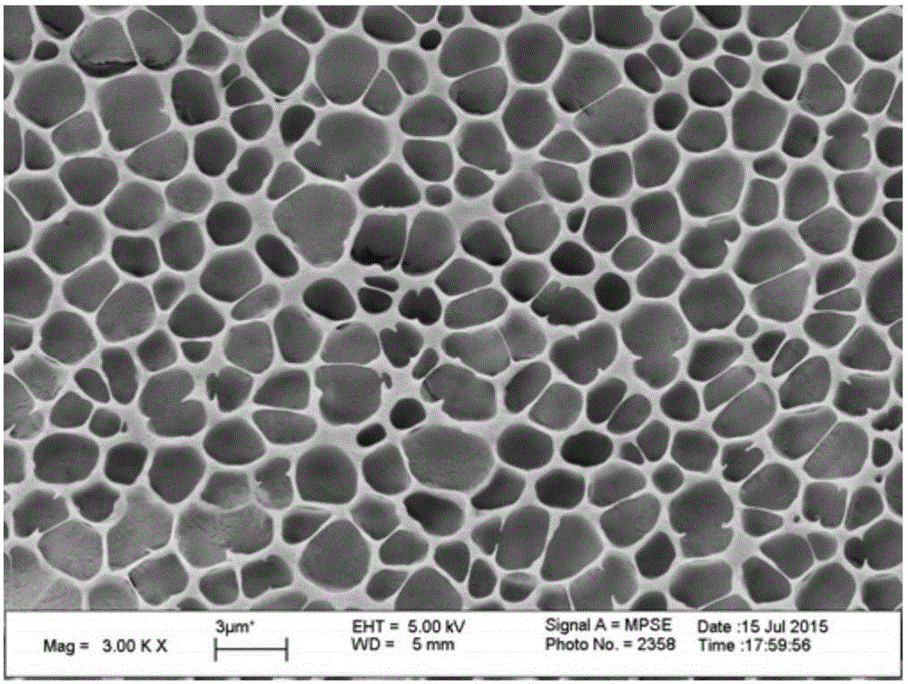 Bio-based thermoplastic elastomer with shape memory function and preparation method thereof