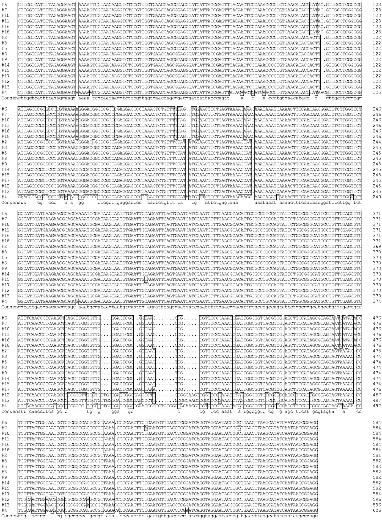 Method for authenticating and distinguishing fusarium culture causing soybean root rot