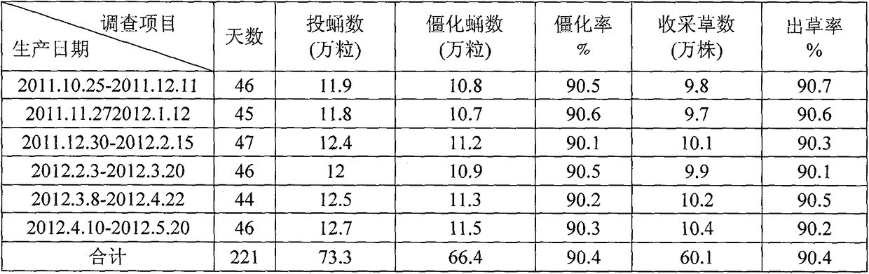 A kind of large-scale cultivation method of Cordyceps militaris