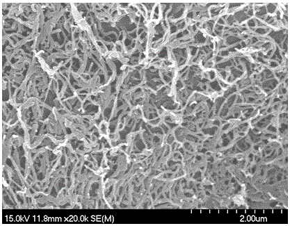 Micro-mesoporous polytriphenylamine derivative applied to lithium battery, as well as preparation method thereof