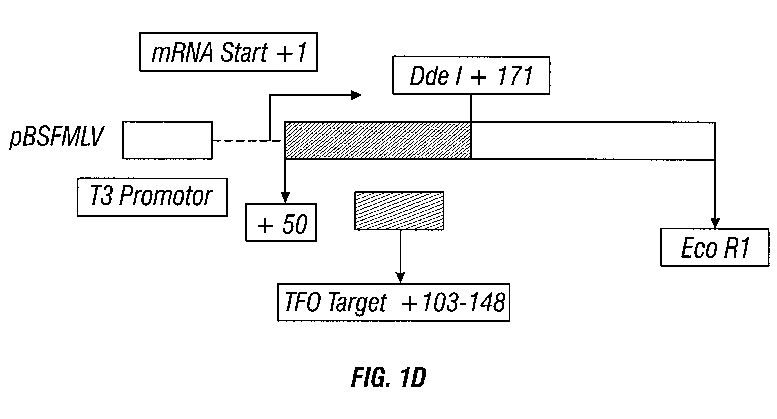 Anti-viral guanosine-rich oligonucleotides and method of treating HIV