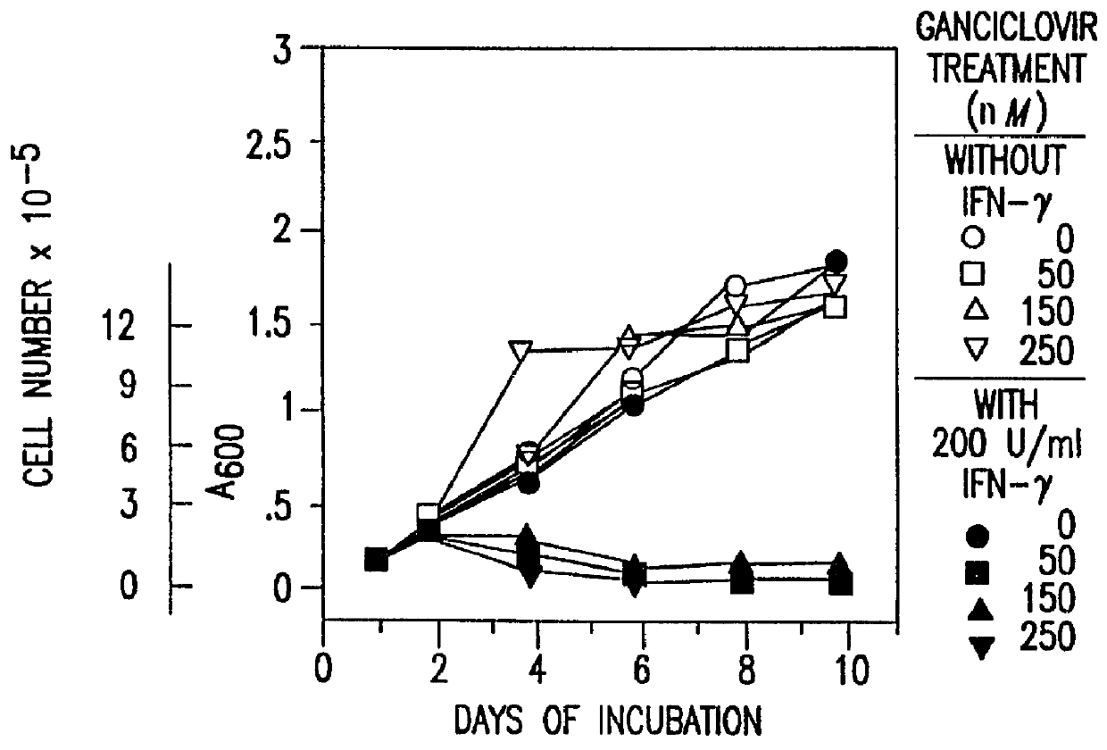 Regulation of gene expression