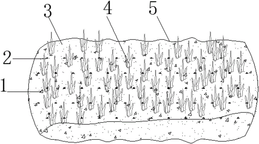 Agricultural waste/immobilized denitrifying bacteria mixed ecological bag and system for slope protection