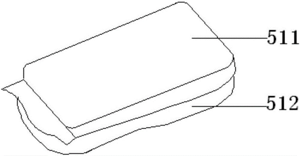 Agricultural waste/immobilized denitrifying bacteria mixed ecological bag and system for slope protection