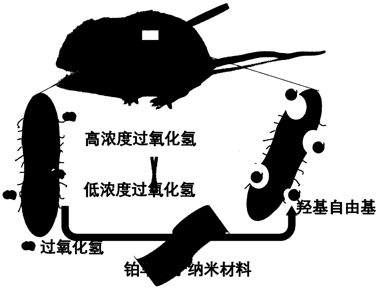 Hydrogen peroxide rapid detection method of platinum monatomic nano-enzyme and sterilization application