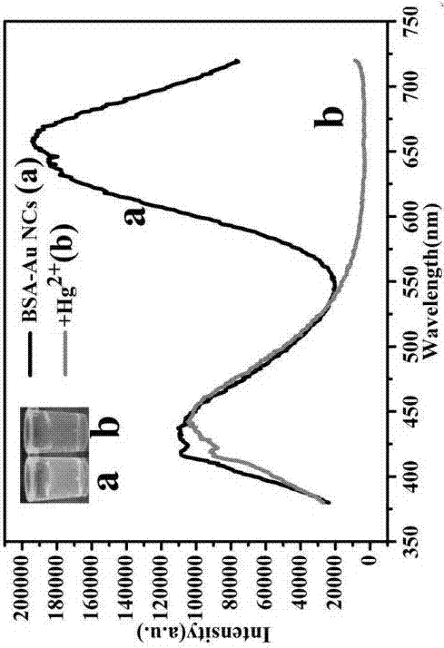 AuNC (gold nanocluster) and CD (carbon quantum dot) composite fluorescent probe and application thereof