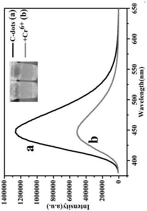 AuNC (gold nanocluster) and CD (carbon quantum dot) composite fluorescent probe and application thereof