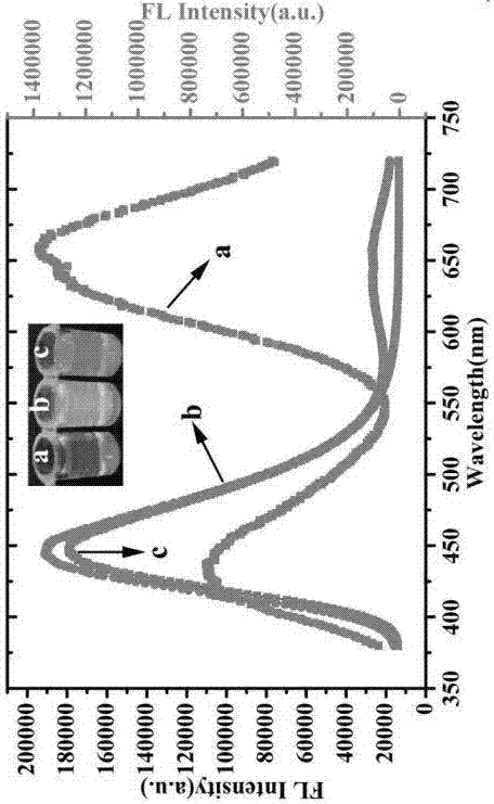 AuNC (gold nanocluster) and CD (carbon quantum dot) composite fluorescent probe and application thereof