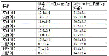 A kind of plant cultivation method of Solanaceae