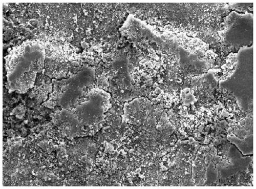 Polytetrafluoroethylene-reinforced adhesion ceramic coating and preparation method thereof