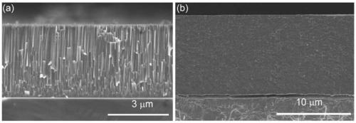 Amorphous and nanocrystalline composite coating for zirconium alloy protection and preparation method of amorphous and nanocrystalline composite coating