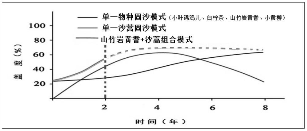 Rapid sand fixation treatment method for moving dune