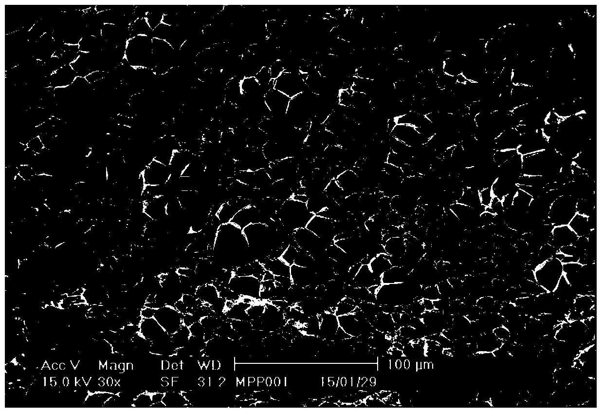 Composition for preparing polypropylene foam material and foamed molded body thereof