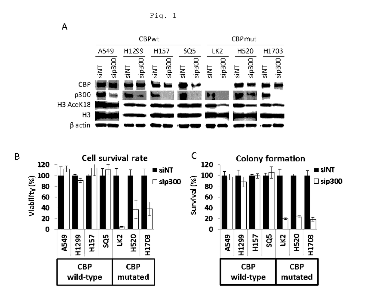 METHOD FOR PREDICTING RESPONSIVENESS TO CANCER TREATMENT USING p300-INHIBITING COMPOUND